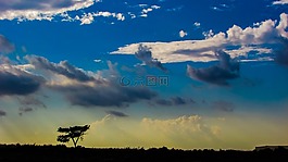 下午,天空,云