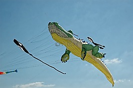 風箏,鱷魚,海灘