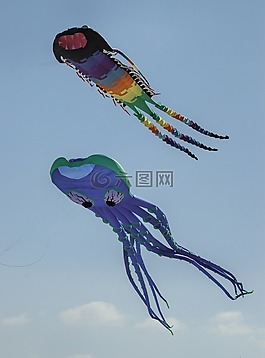 章魚,風箏,海灘