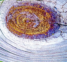 結(jié),星云,星座