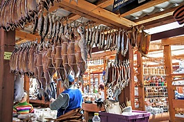 俄羅斯,baikalsee,貝加爾白鮭