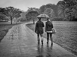 雨,brasschaat,公园