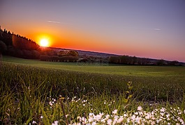日落,太陽(yáng),abendstimmung
