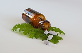 醫(yī)療,葉,葉子