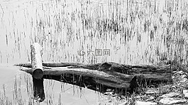 孤獨,光洋,蒼涼
