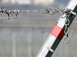 葡萄园,修复,线