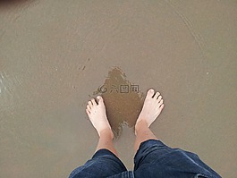 腳,海,假期