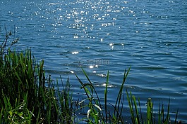 湖,水,性質(zhì)