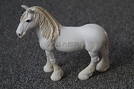 schleichtier,馬,鬃毛