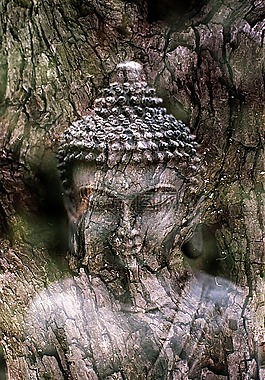 佛,冥想,雕像