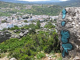 摩洛哥,marroc,景观