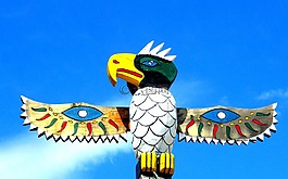 图腾,极点,鸟