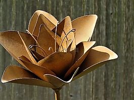 花,金屬,大規模