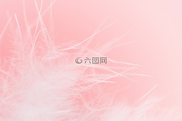 春天,軟,溫柔