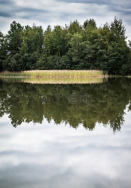 湖,鏡像,蘆葦