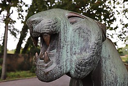 虎,頭,柏林公園的動物