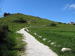 草地,离,桌山