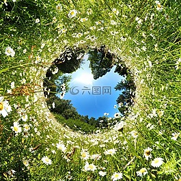 管,字段,夏季