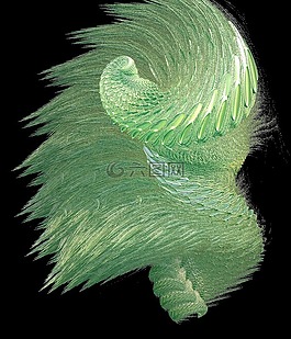 分形,生物,外星人