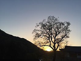 晚霞,木材,發(fā)光