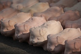 小豬,銀行,豬
