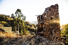 狗,景觀,土耳其