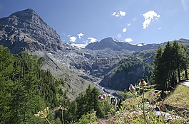 ortler,山,阿爾卑斯山