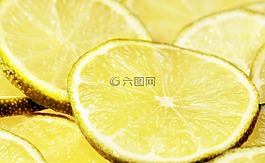 石灰,酸橙片,柑橘類水果