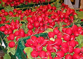 蘿卜,蔬菜,食品