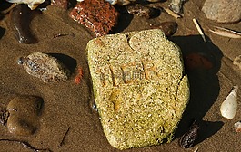 石,海灘,河