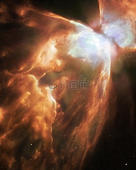 星云,行星,甲蟲，昆蟲
