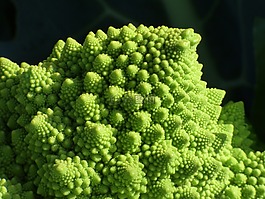 西蘭花,螺旋,分形