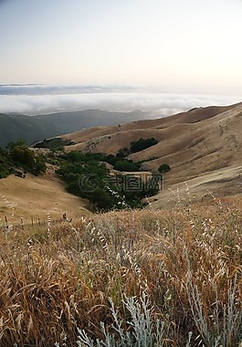 山,丘陵,霧