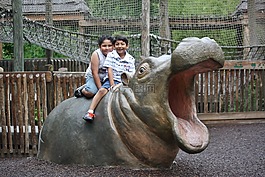 河馬,動物,動物園