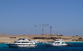 海,埃及,giftun