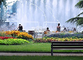 公園,噴泉,花園