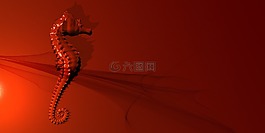 海馬,紅色,海