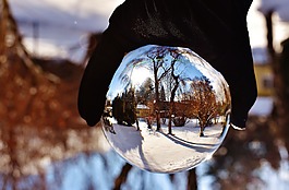 冬天,雪,花園