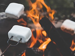 棉花糖,營火,烤