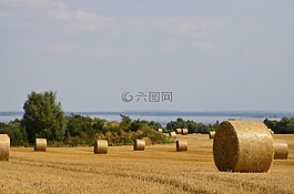 字段,收獲,農(nóng)業(yè)