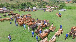 布瓦,牛路徑,無(wú)人駕駛飛機(jī)