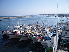 端口,海,時(shí)間