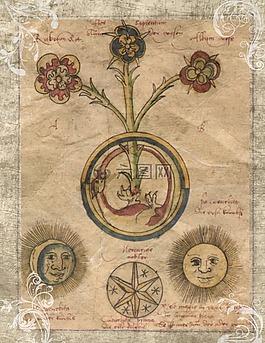 釀酒,太陽,行星