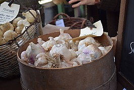 大蒜,sättlök,秋季