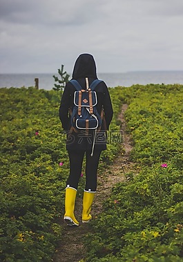 自然,目睹,徒步旅行