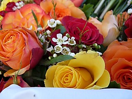 鮮花,玫瑰,花環(huán)