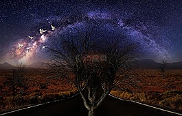 黎明,天空,晚上