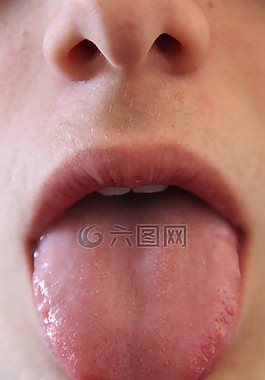 舌頭,口,哺乳動物