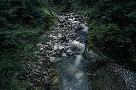自然,河,溪