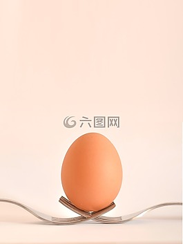 食品,雞蛋,叉